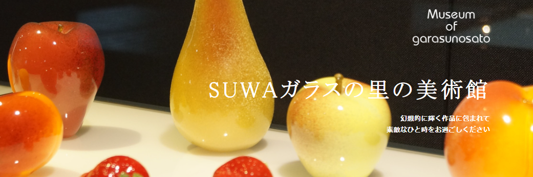 玄関に網戸!しまえるんですα✨ 長野板販のブログ 写真1