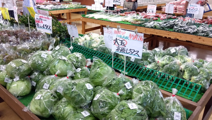 ❔クイズ❔&『窓が変われば、暮らしが変わる』 長野板販のブログ 写真3