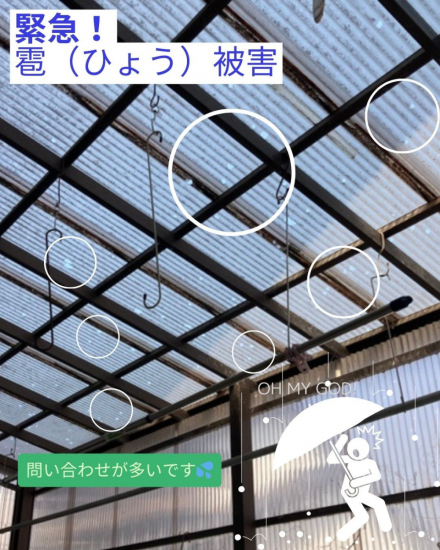 秀和のひょう被害!!!カーポートパネル交換をしました。施工事例写真1
