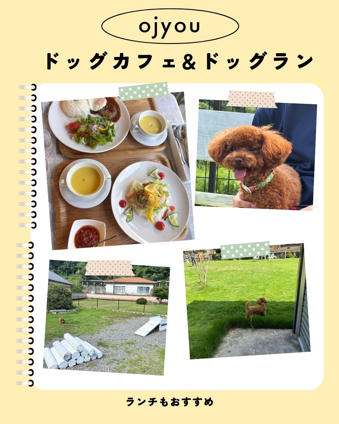 長崎　波佐見　ドッグラン&ドッグカフェ　ojyou 長崎サッシ工業のブログ 写真1