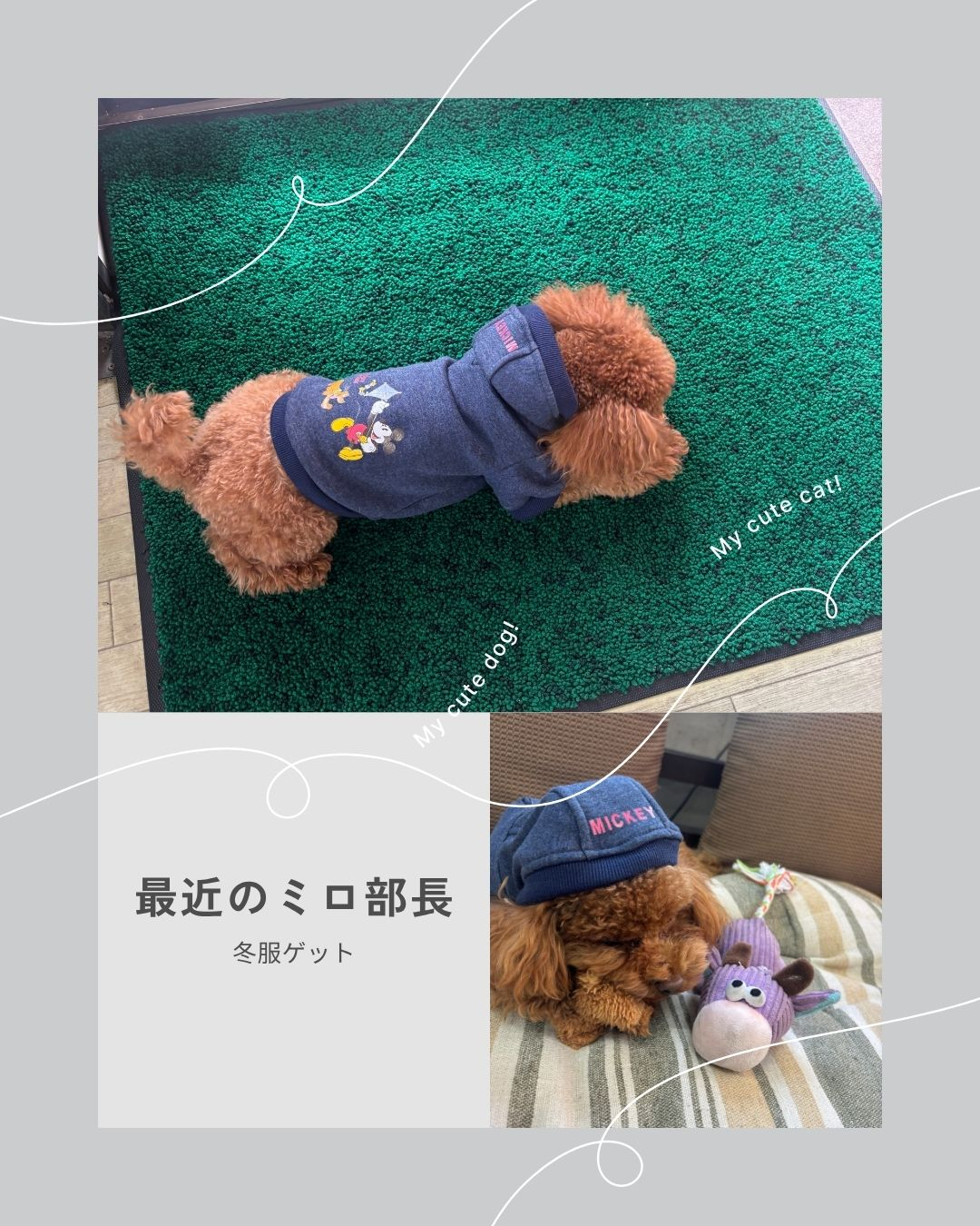 プレミアム商品券でゲット!! 長崎サッシ工業のブログ 写真1