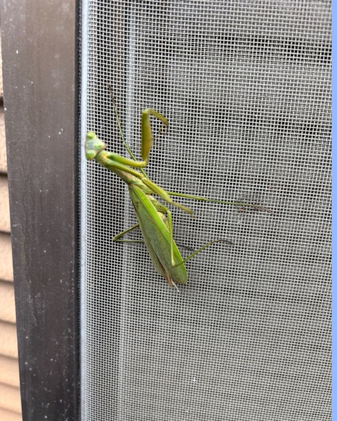 現場での出来事 長崎サッシ工業のブログ 写真2