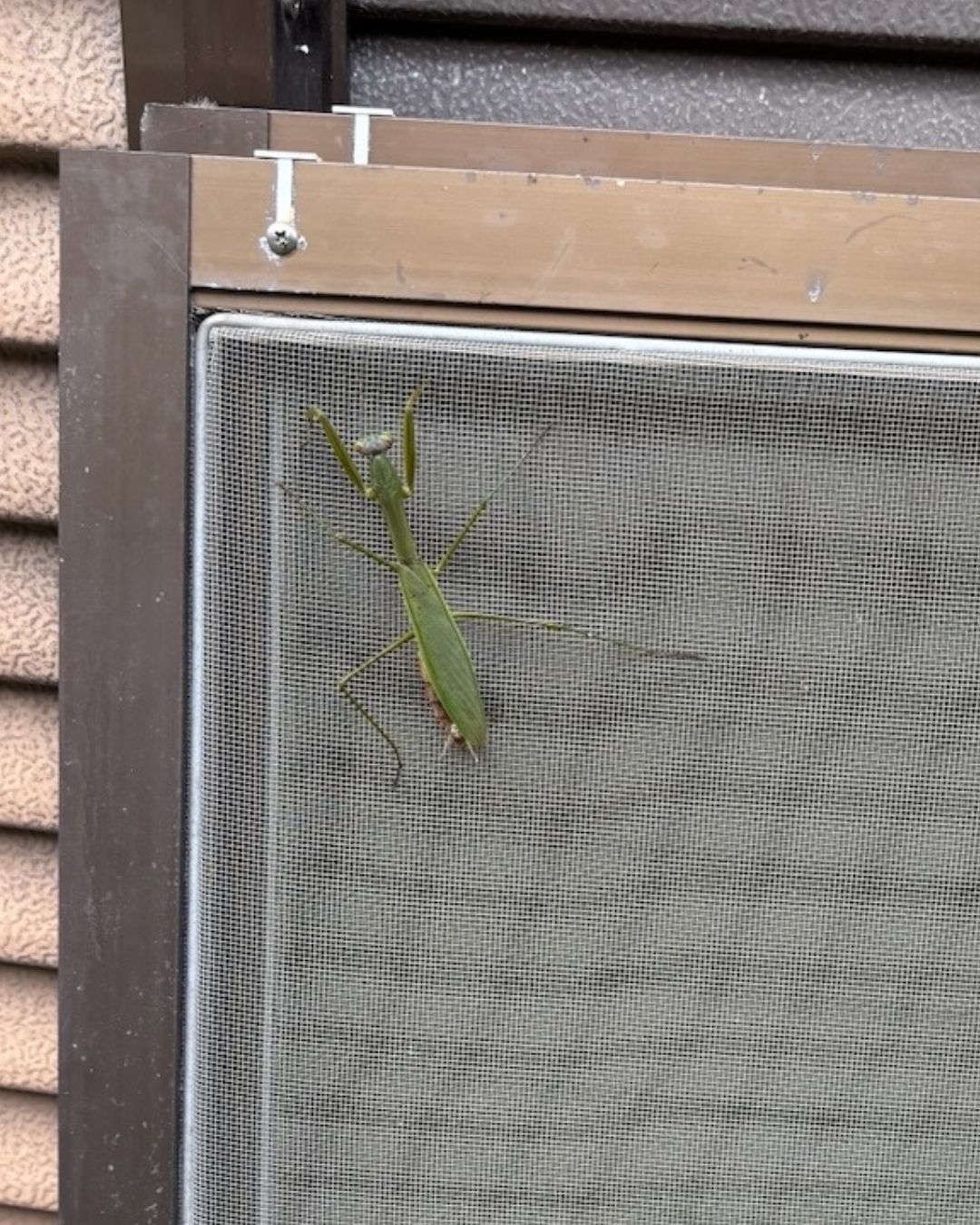 現場での出来事 長崎サッシ工業のブログ 写真1