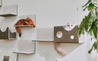 猫が喜ぶ「猫壁　にゃんぺき」 長崎サッシ工業のブログ 写真2