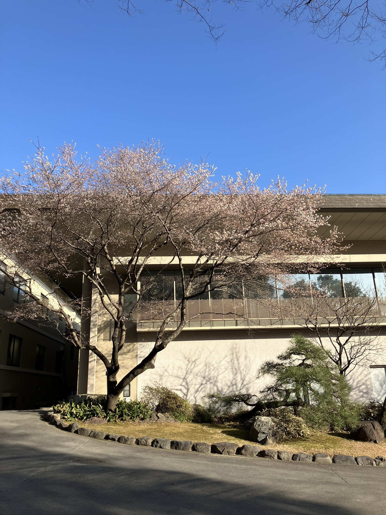 毎年恒例、社員みんなで熱田神宮へ行ってきました！ 窓の匠イトゼンのブログ 写真1