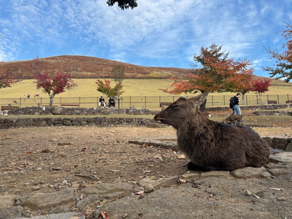 社員研修へ行って参りました🚐🌼 高岡建材 天橋立店のブログ 写真1