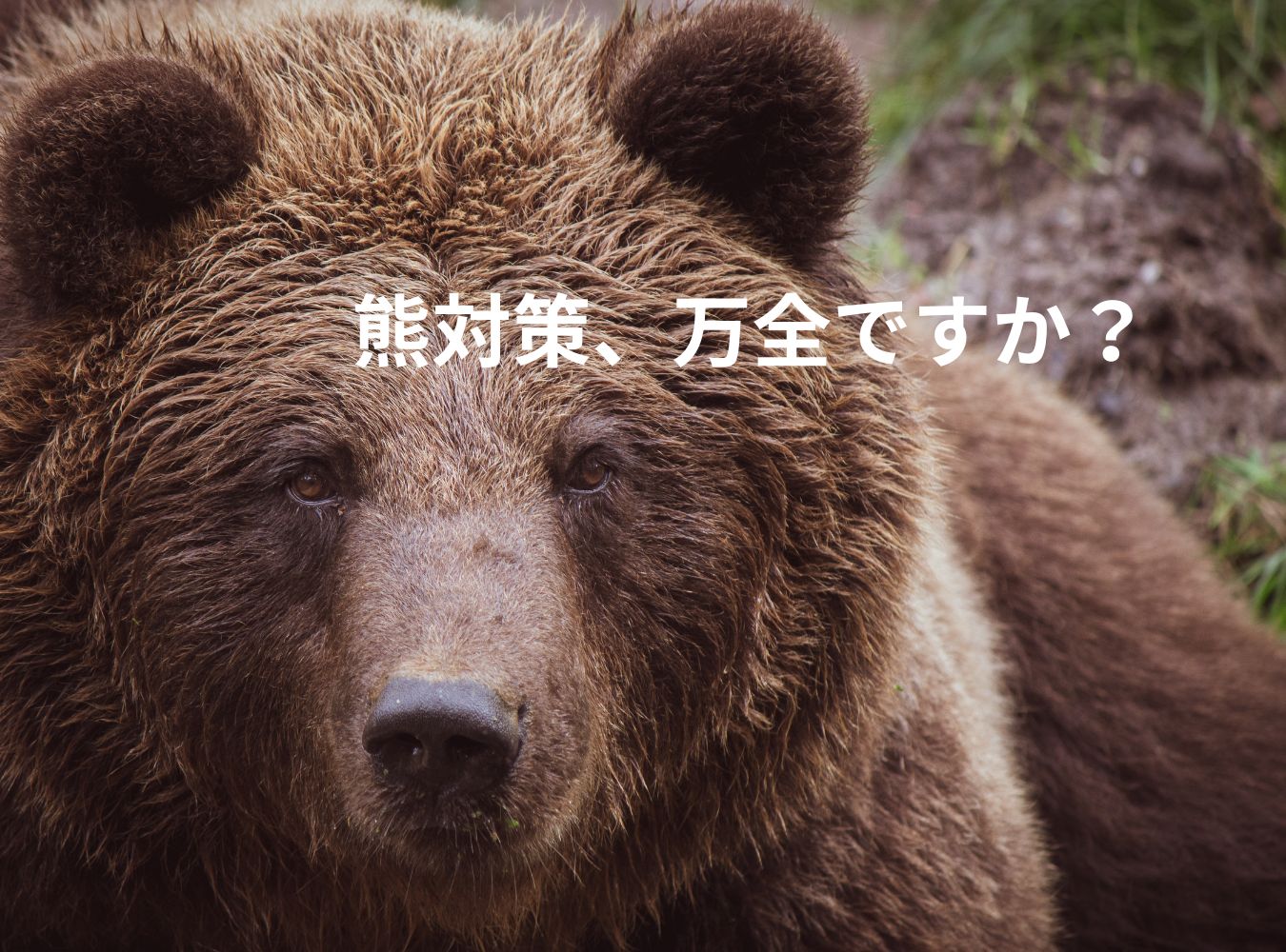【熊対策】住まいの防犯力を高めませんか 高岡建材 天橋立店のイベントキャンペーン 写真1