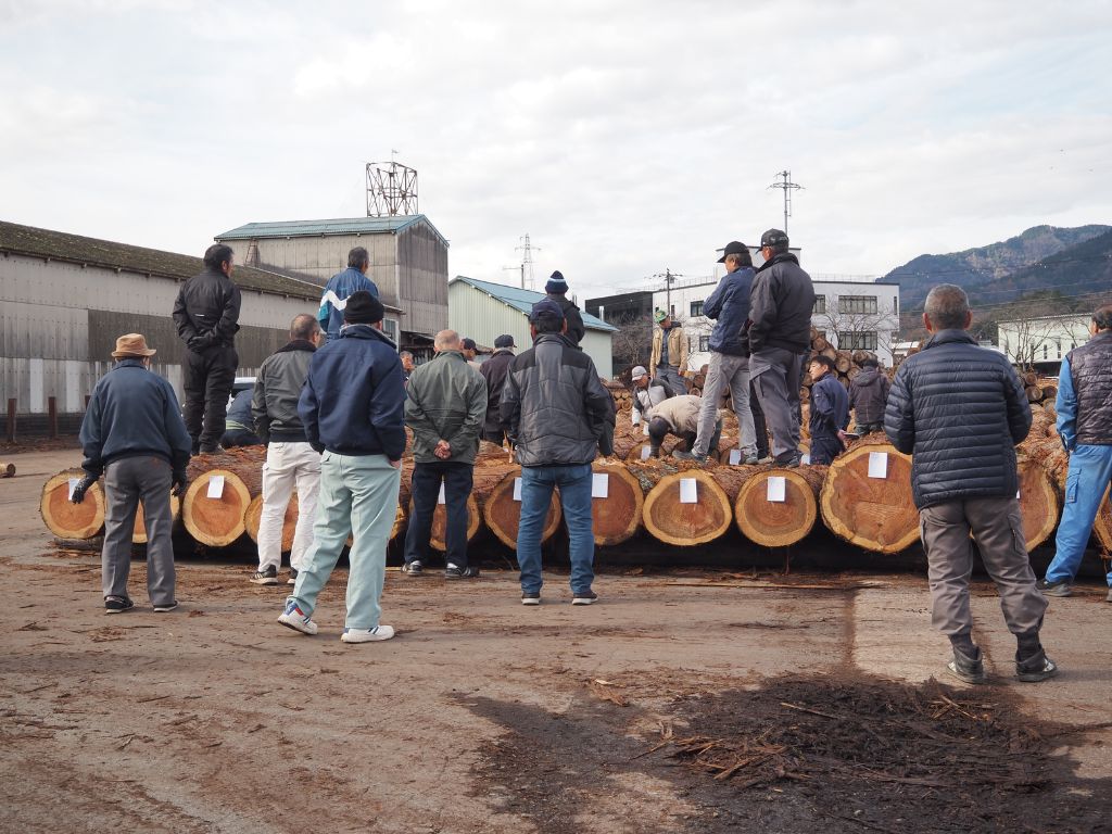 木材市場へ行って参りました🌳 高岡建材 天橋立店のブログ 写真2