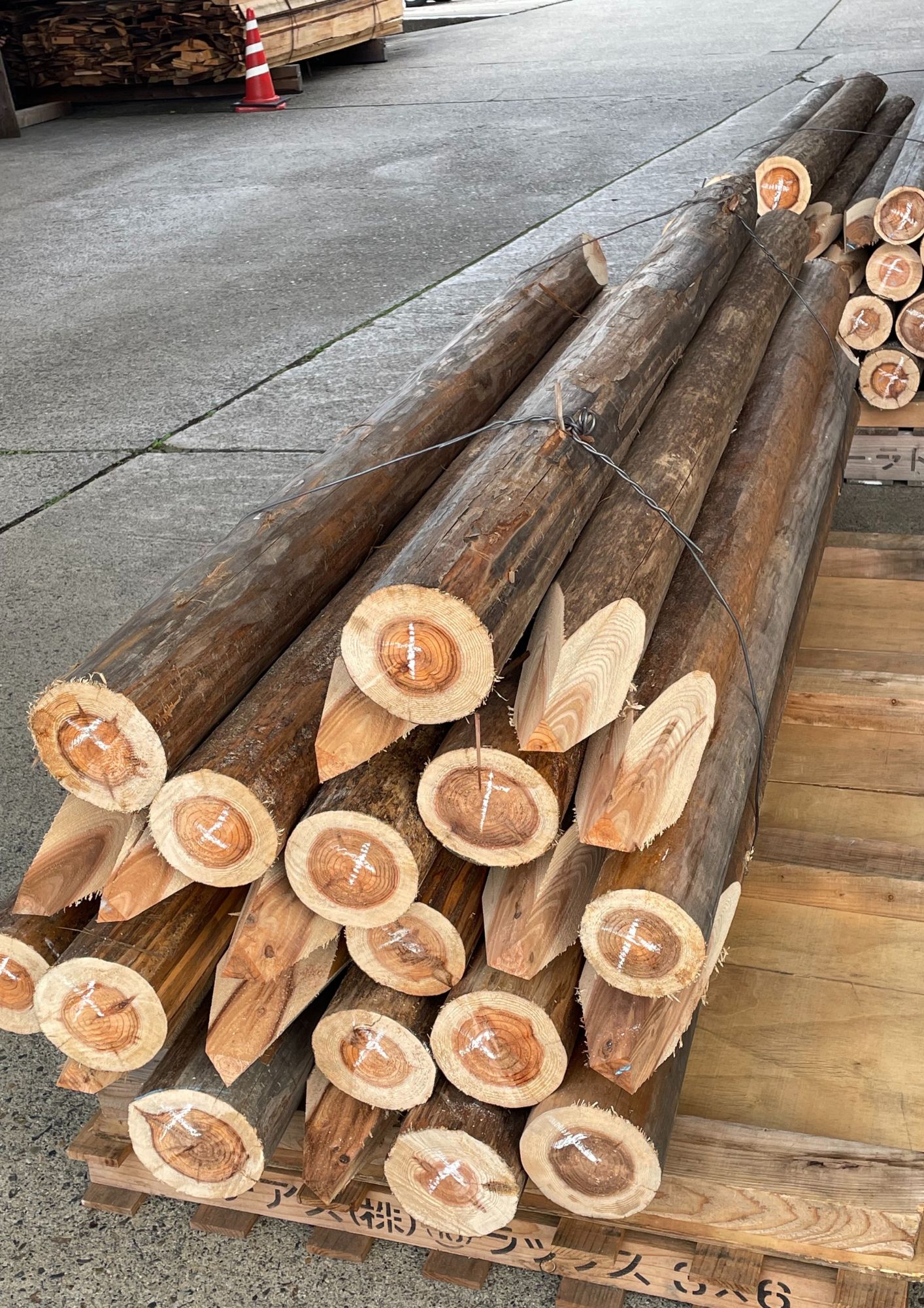 丸太杭が入荷致しました🌳 高岡建材 天橋立店のブログ 写真1