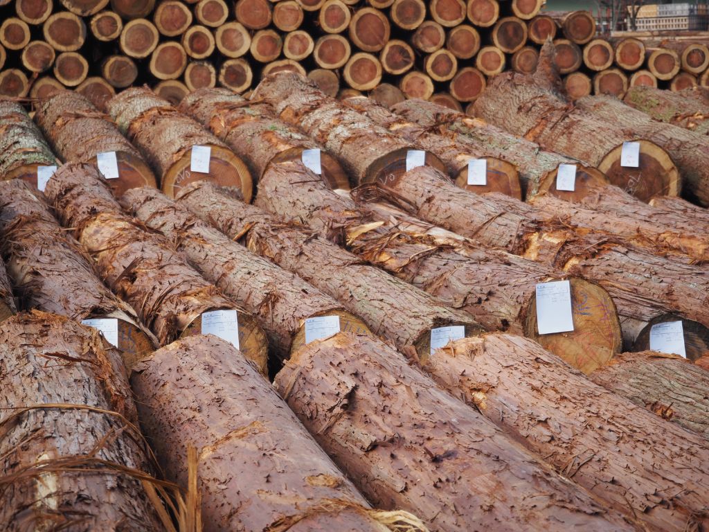 木材市場へ行って参りました🌳 高岡建材 天橋立店のブログ 写真3