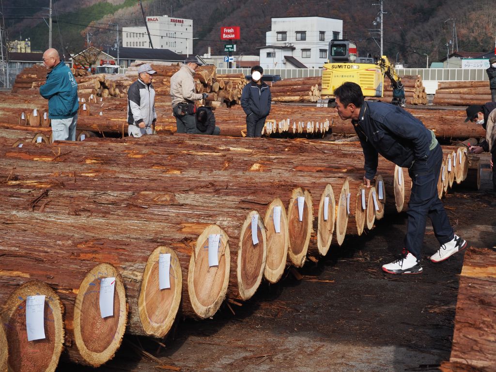 木材市場へ行って参りました🌳 高岡建材 天橋立店のブログ 写真1