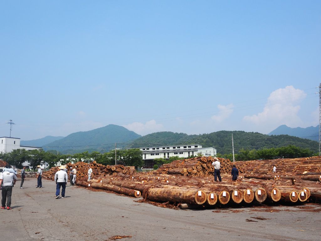 原木市場へ行ってきました!🌳 高岡建材 天橋立店のブログ 写真1