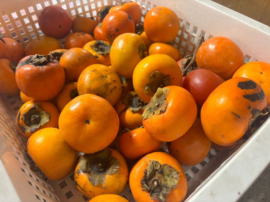 柿の美味しい食べ方💡 高岡建材 天橋立店のブログ 写真2