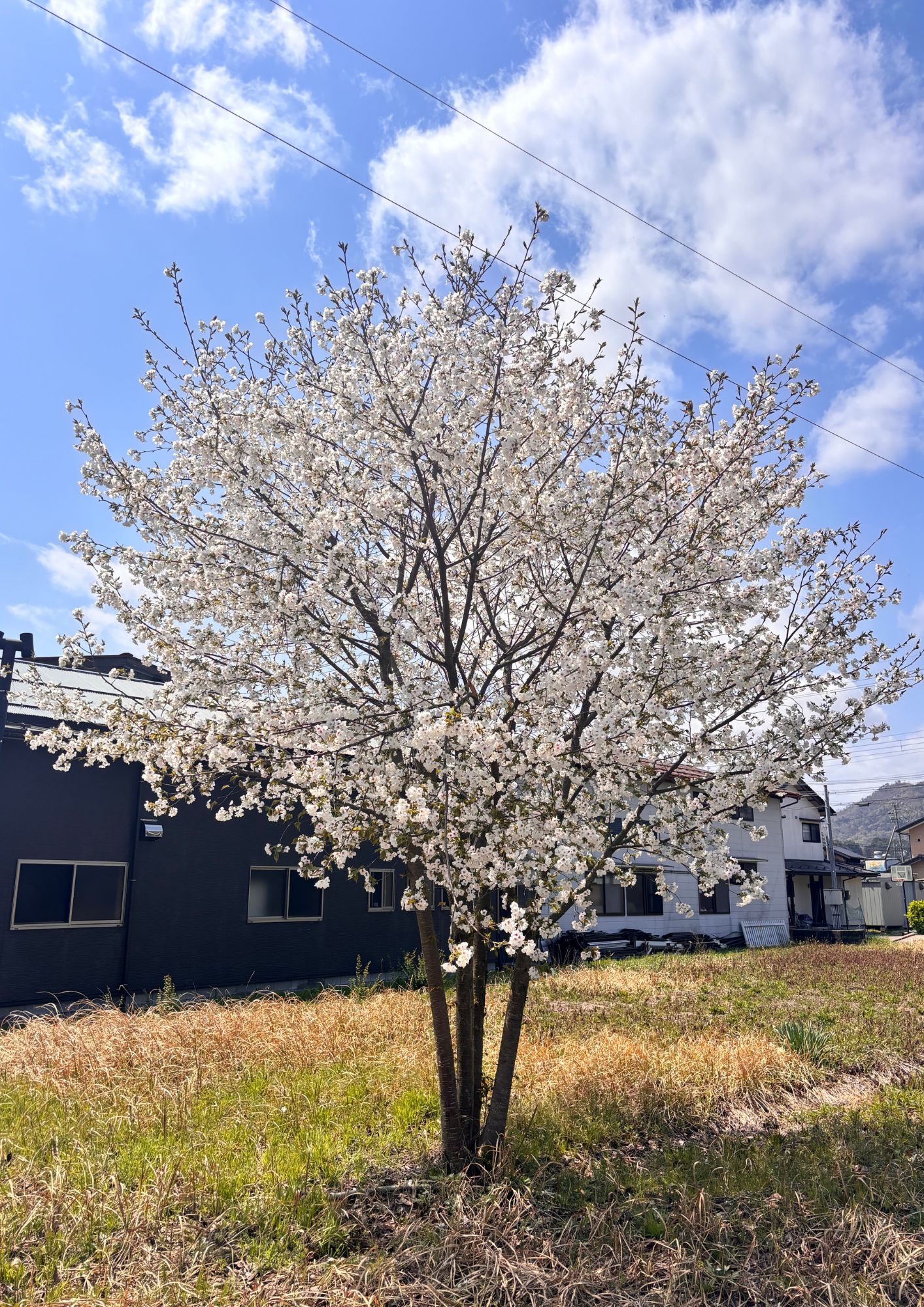 秋の終わり🍂 高岡建材 天橋立店のブログ 写真1