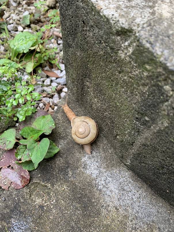 梅雨なんですねぇ・・ バンダイトーヨー住器のブログ 写真1