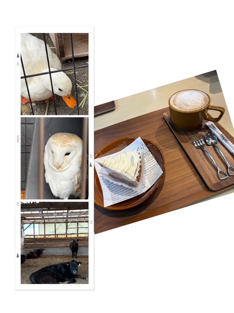 ❄️⛄雪~⛄❄️ 大和建材 窓リノベ事業部のブログ 写真2