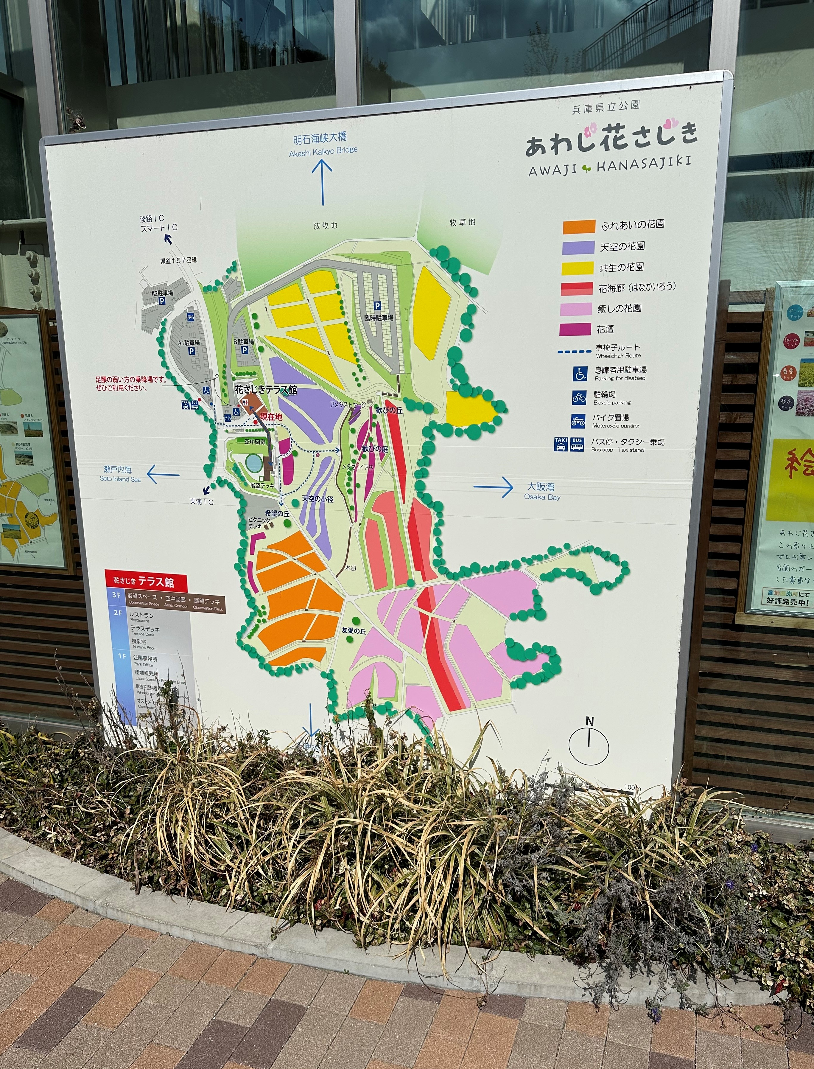仕事終わりの絶景コーヒーブレイク☕✨ 淡路島の秘密の花園で、まさかの〇〇チェック！？ リフォームおたすけDIYのブログ 写真2