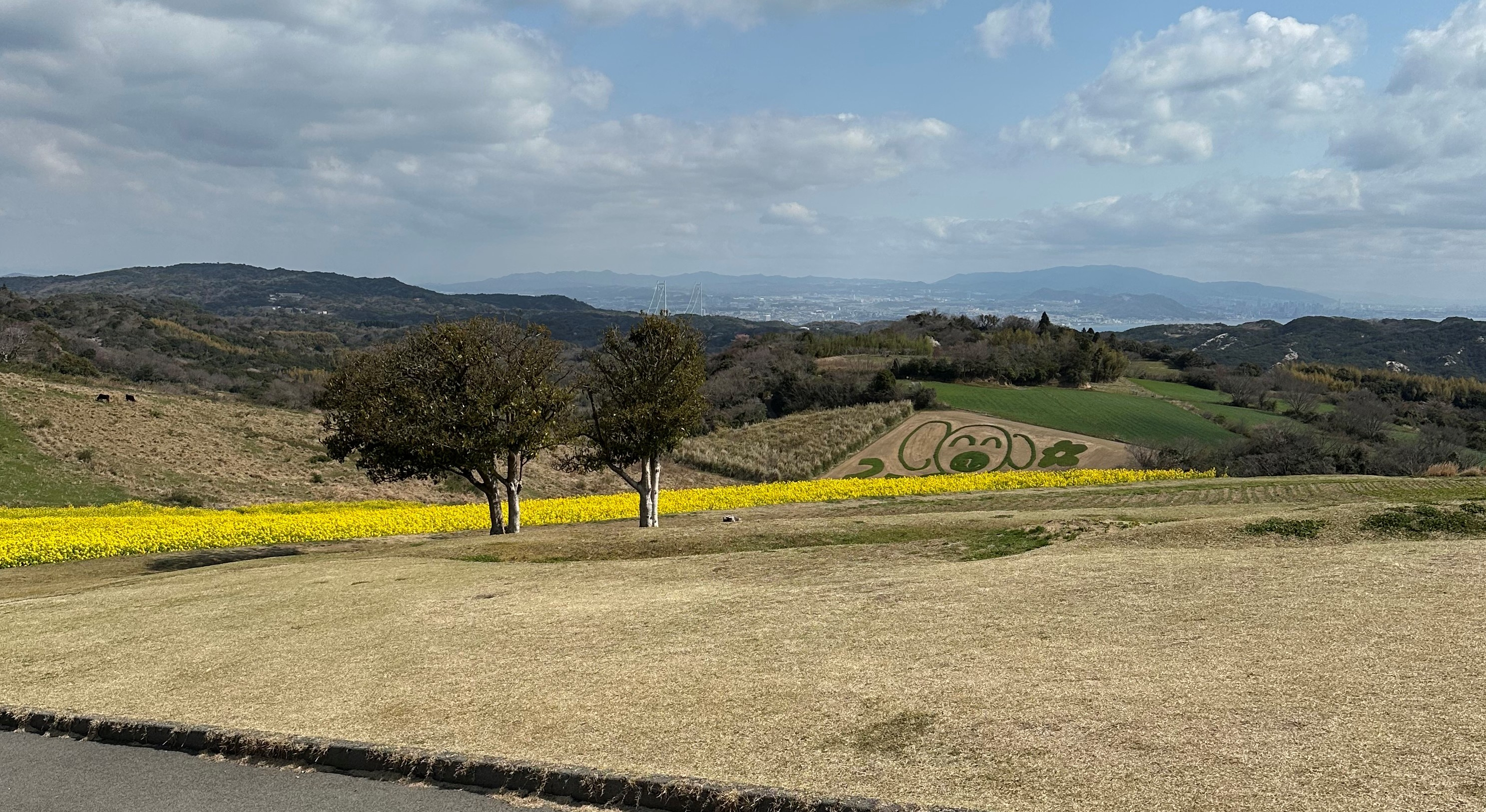 仕事終わりの絶景コーヒーブレイク☕✨ 淡路島の秘密の花園で、まさかの〇〇チェック！？ リフォームおたすけDIYのブログ 写真1