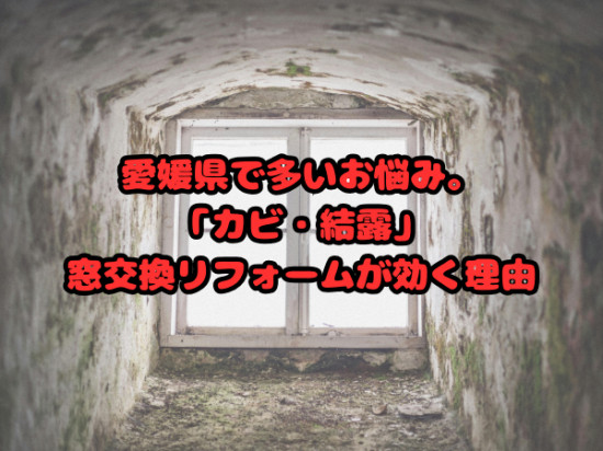前のブログ