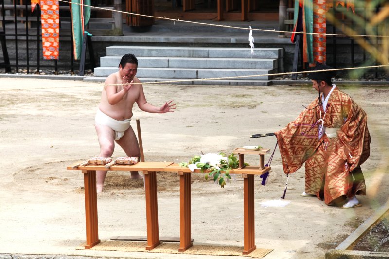 大山祇神社御田植祭⛩ 吉村硝子のブログ 写真3