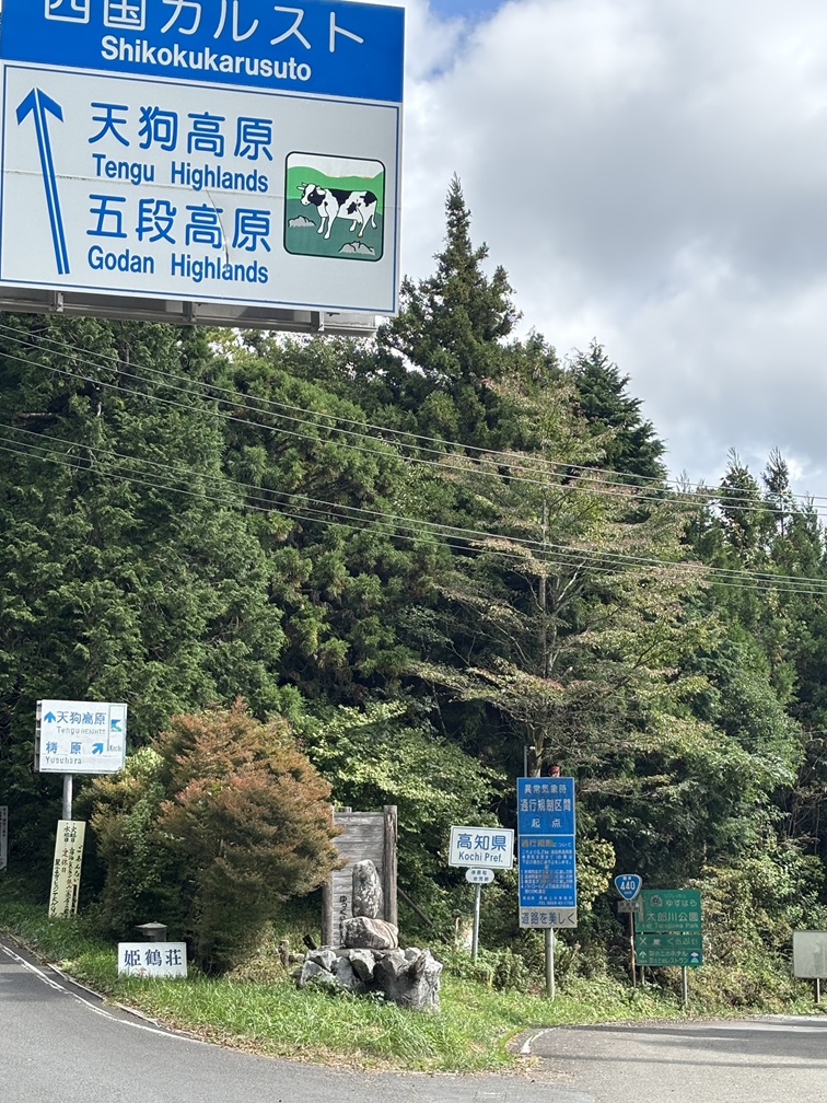 【四国カルスト体験】まるで天空の道!絶景と大自然に癒された一日🐄 吉村硝子のブログ 写真3
