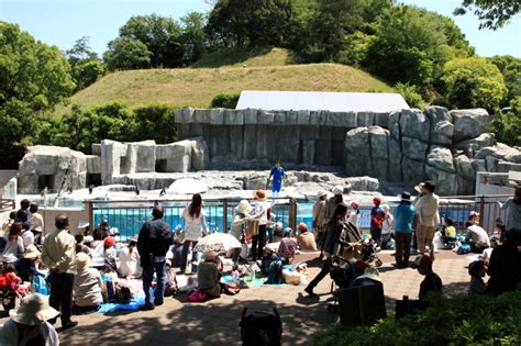 とべ動物園写生大会🐧 吉村硝子のブログ 写真2