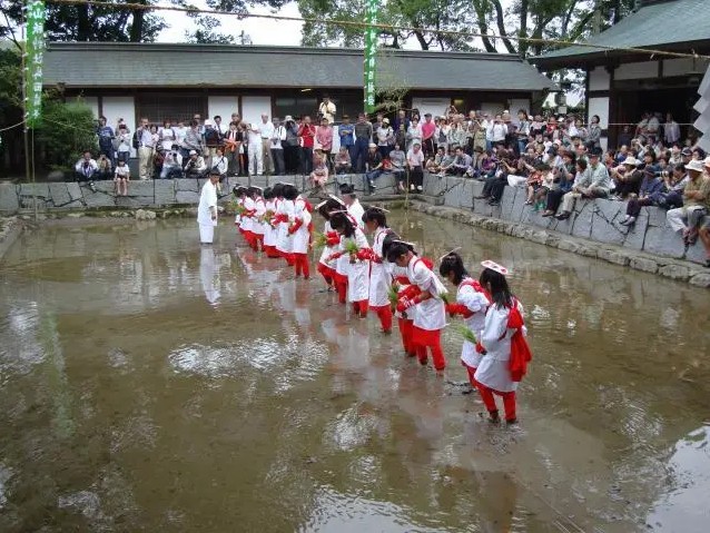 大山祇神社御田植祭⛩ 吉村硝子のブログ 写真2