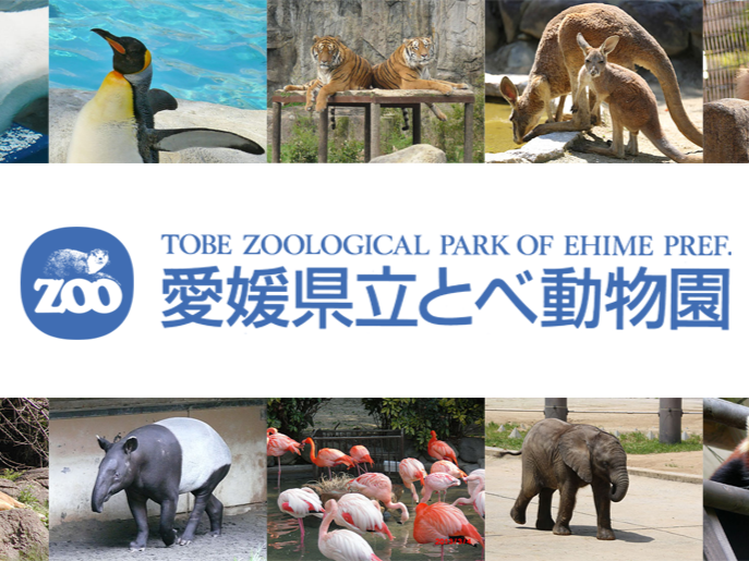 とべ動物園写生大会🐧 吉村硝子のブログ 写真1