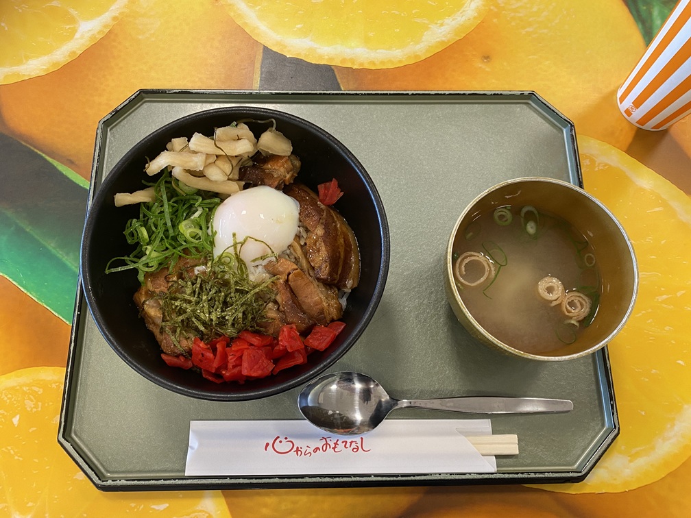 出張ランチ🍚 吉村硝子のブログ 写真2