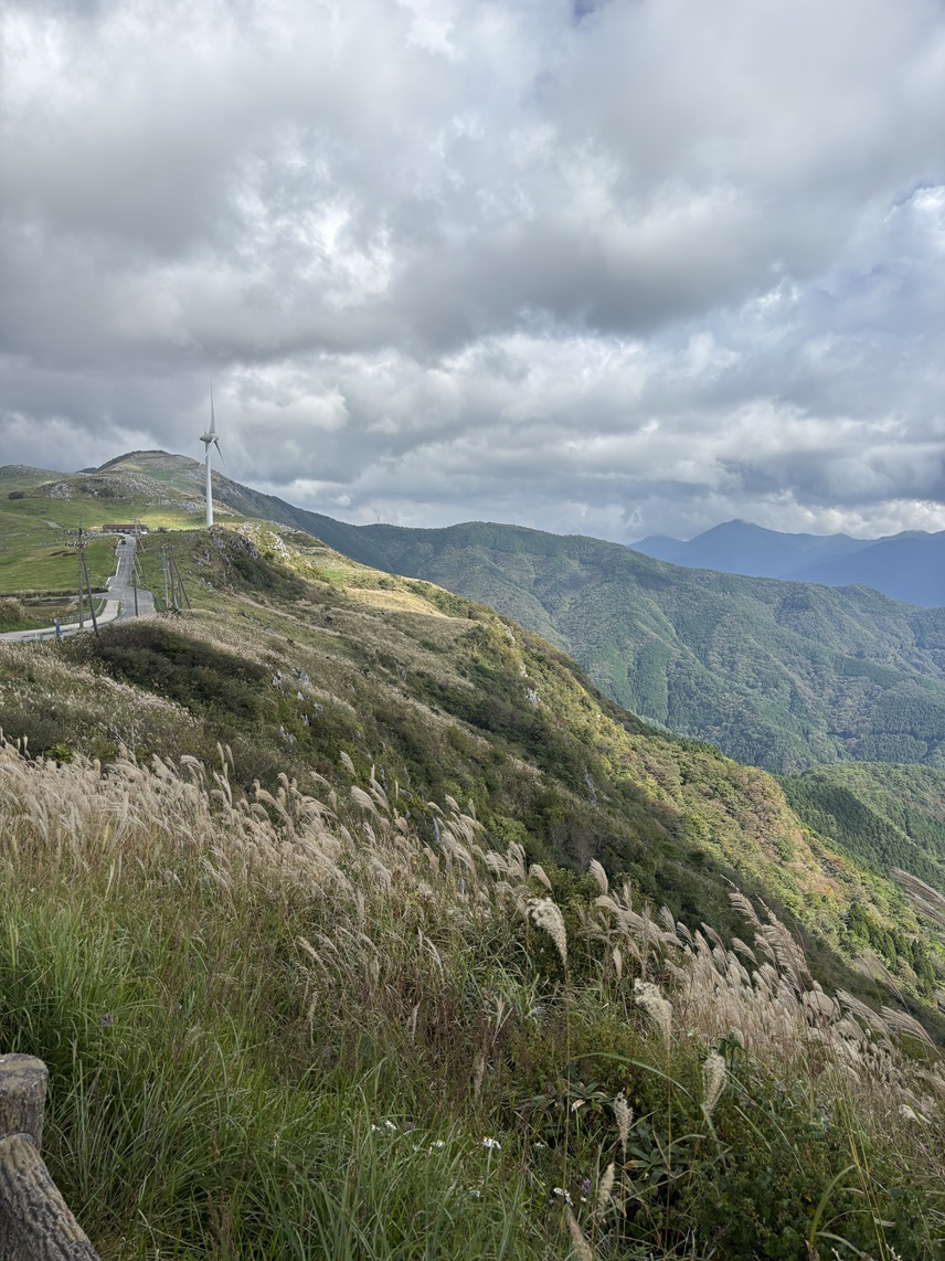 【四国カルスト体験】まるで天空の道!絶景と大自然に癒された一日🐄 吉村硝子のブログ 写真5