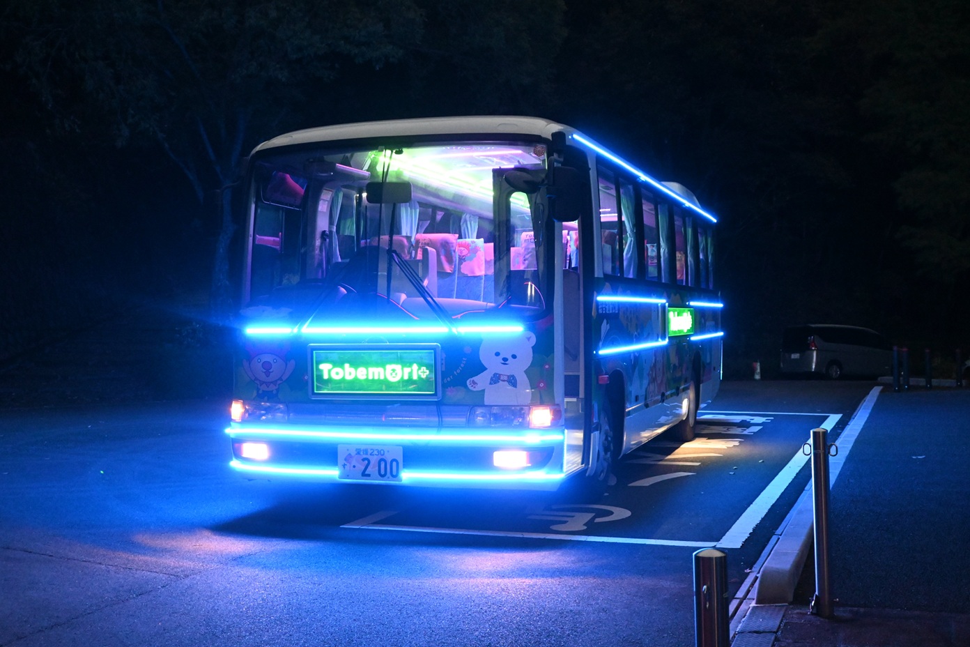 とべ動物園「夜の動物園」2025 吉村硝子のブログ 写真3