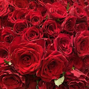 バラの本数と色の意味🌹 吉村硝子のブログ 写真3