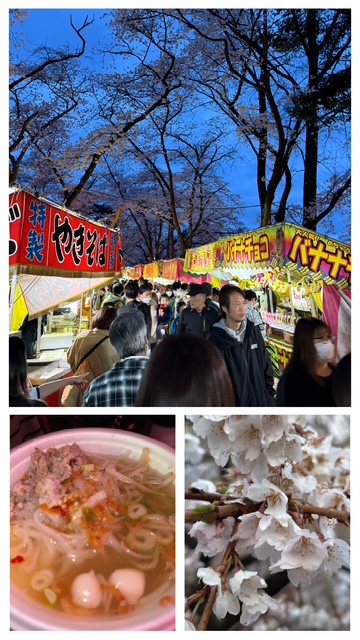 🌸お花見~桜~ Mado Plus黒澤さんのお店のブログ 写真1