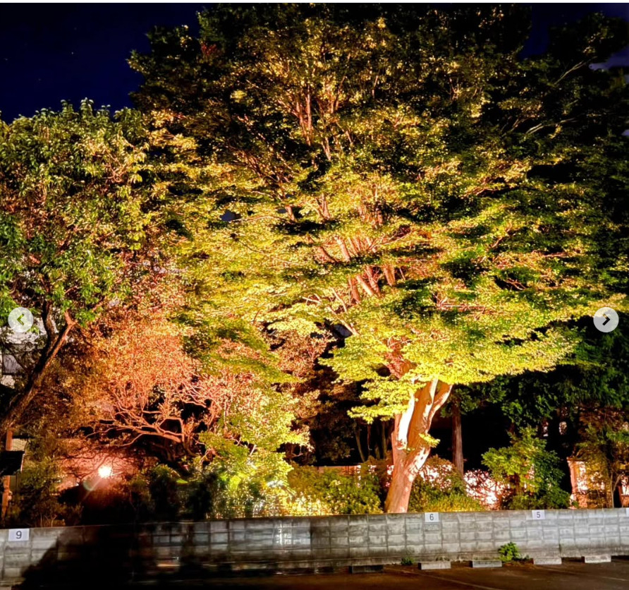 テイエストーヨー住器のわが家が一番の特等席。LIXIL『美彩』で叶える、極上のナイトガーデンの施工後の写真1