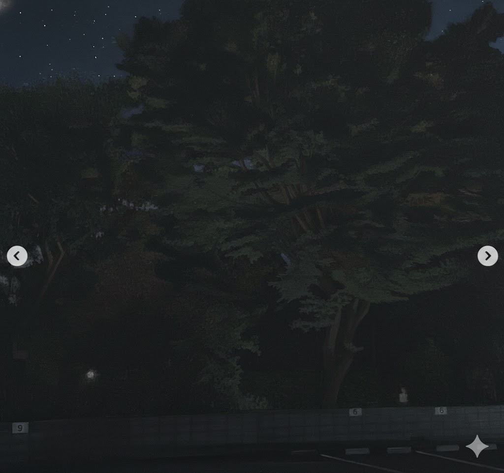 テイエストーヨー住器のわが家が一番の特等席。LIXIL『美彩』で叶える、極上のナイトガーデンの施工前の写真1