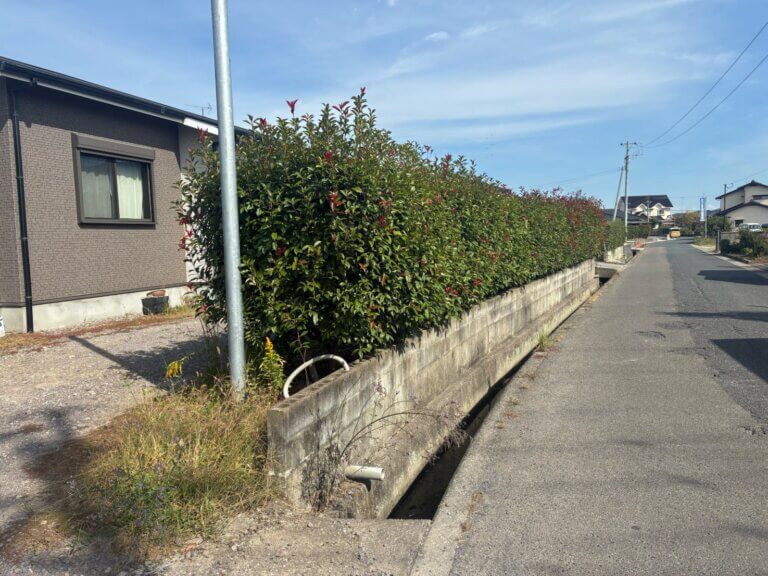 江上トーヨー住器の【中津市 外構工事】生垣撤去＋フェンスAB設置で快適なお庭にの施工前の写真1