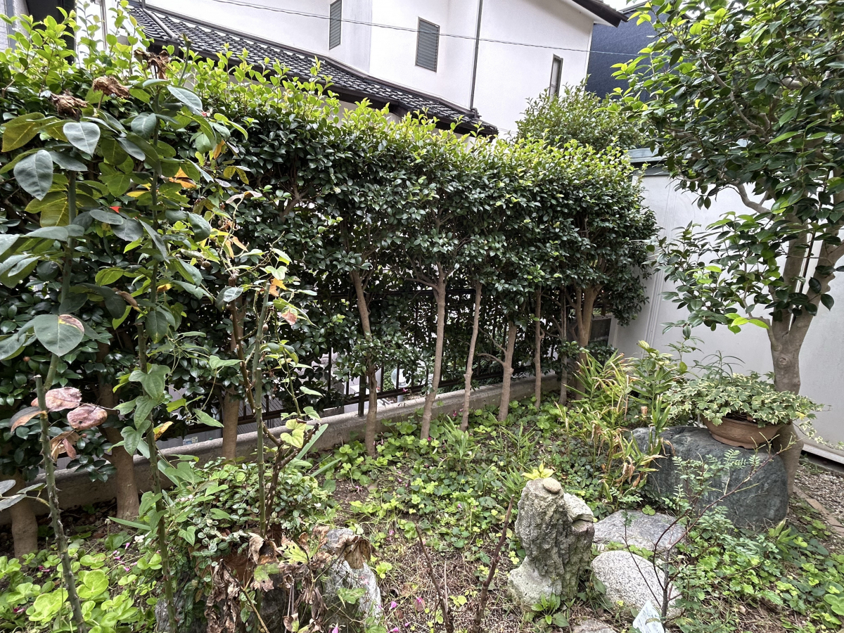 ホンダトーヨー住器の愛知県豊明市 戸建住宅 フェンス設置工事の施工前の写真1