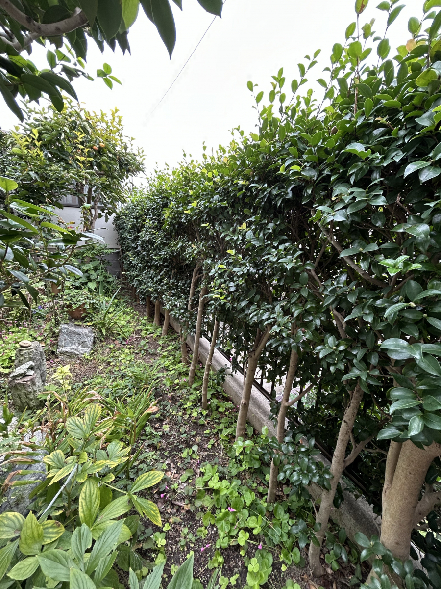 ホンダトーヨー住器の愛知県豊明市 戸建住宅 フェンス設置工事の施工前の写真2