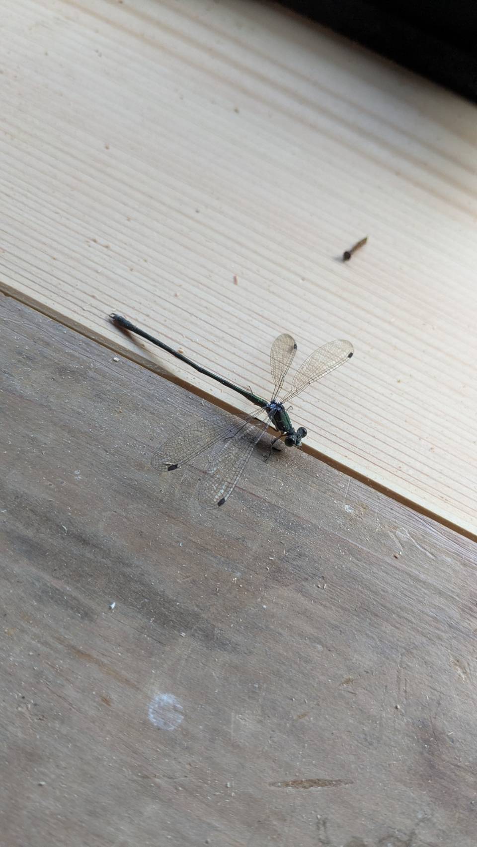 現場で発見○○#05 アサノタイヨーのブログ 写真3