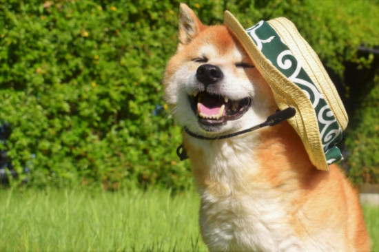 前のブログ