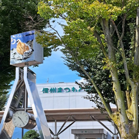 次のブログ
