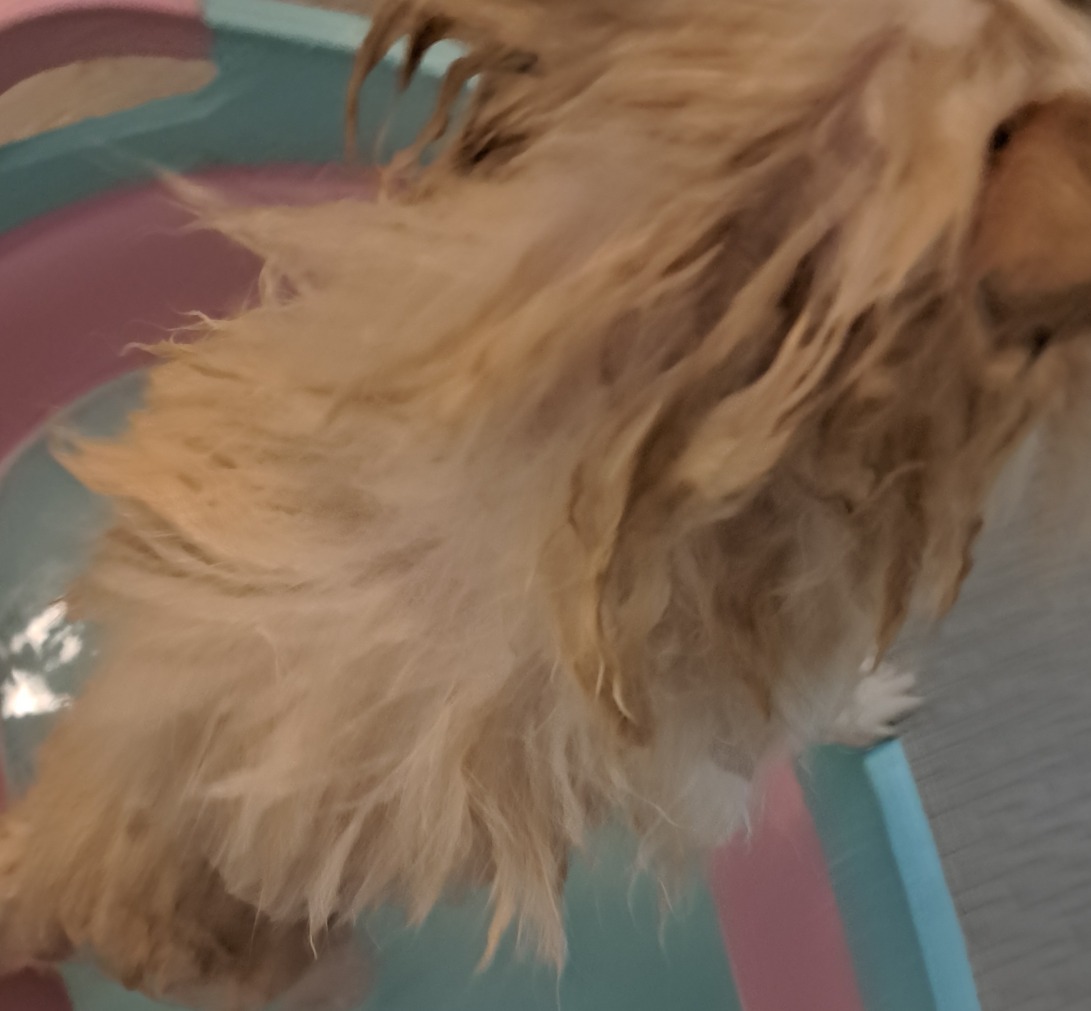 強風の中の散歩 長野板販 松本営業所のブログ 写真4