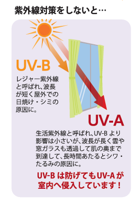 真夏の紫外線撃退！窓から始める上手な紫外線対策🌻☀️ 長野板販 松本営業所のブログ 写真2