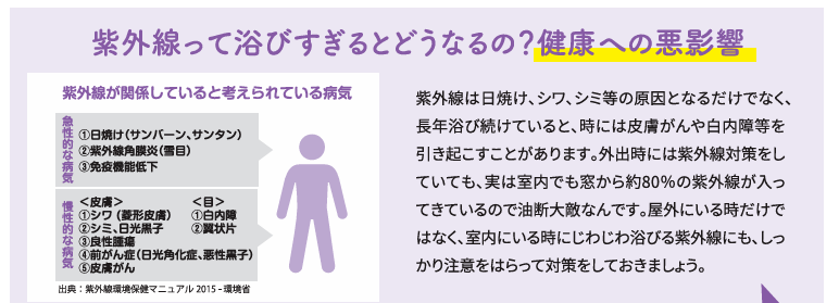 室内の紫外線の影響は❓ 長野板販 松本営業所のブログ 写真2