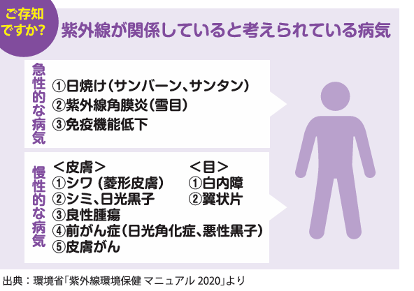真夏の紫外線撃退！窓から始める上手な紫外線対策🌻☀️ 長野板販 松本営業所のブログ 写真3