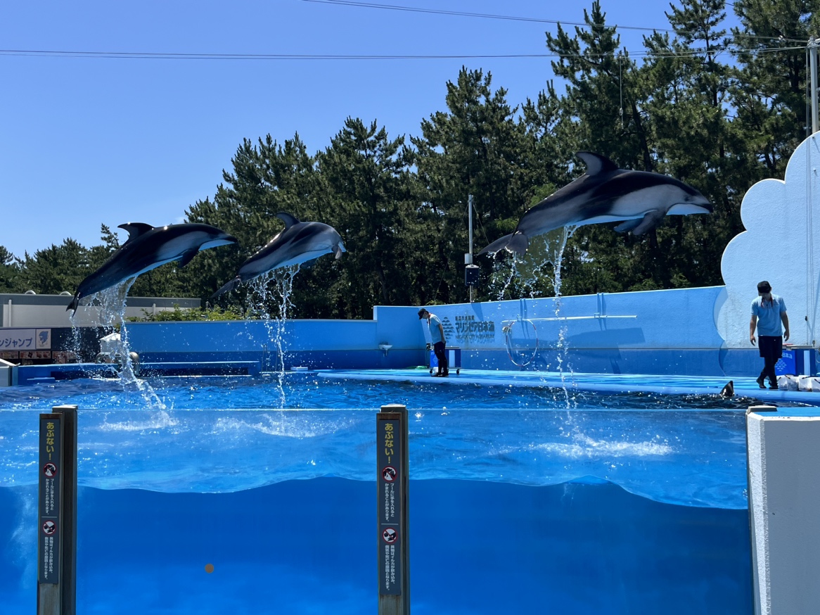 新潟を満喫してきました！🐬 長野板販 松本営業所のブログ 写真1