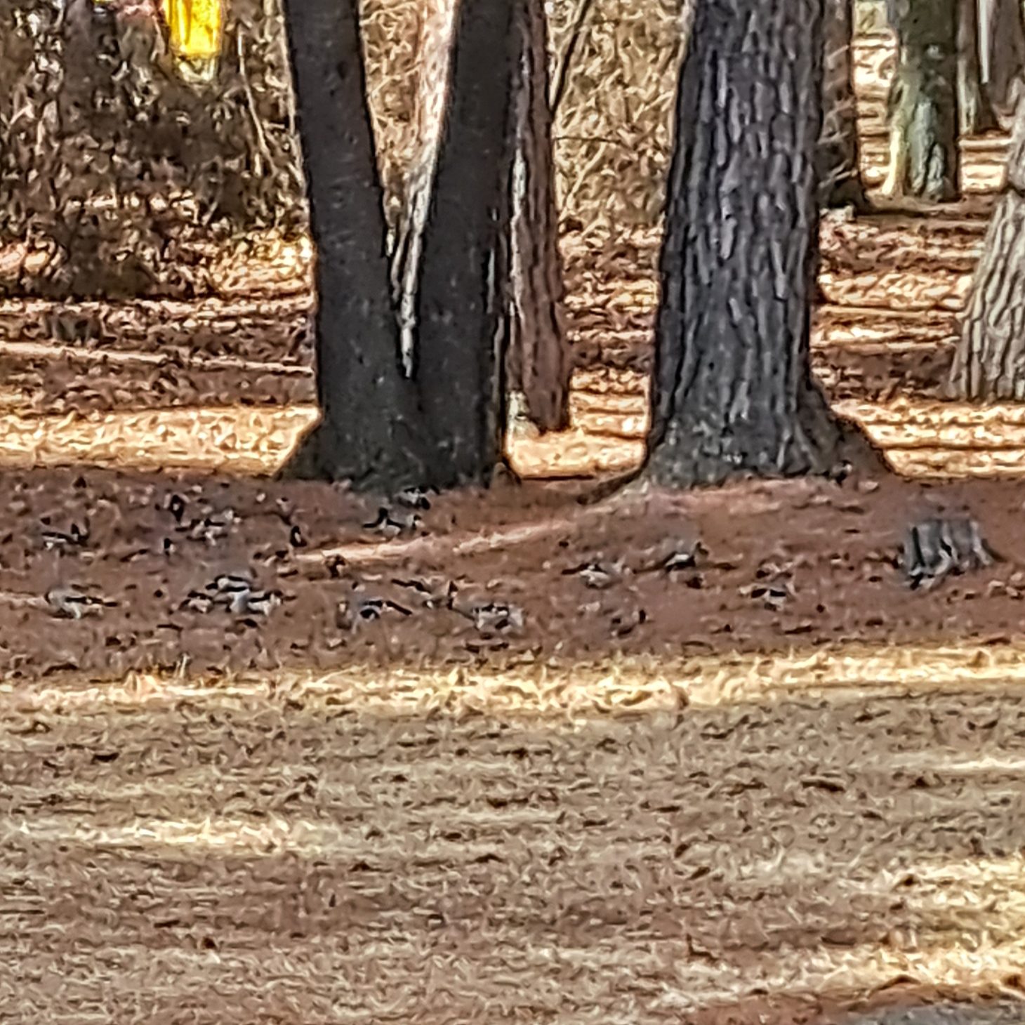 強風の中の散歩 長野板販 松本営業所のブログ 写真3