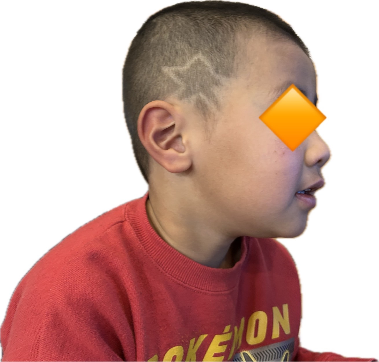 我が家のスーパースター⭐️ TAKAOZAIMOKUのブログ 写真1