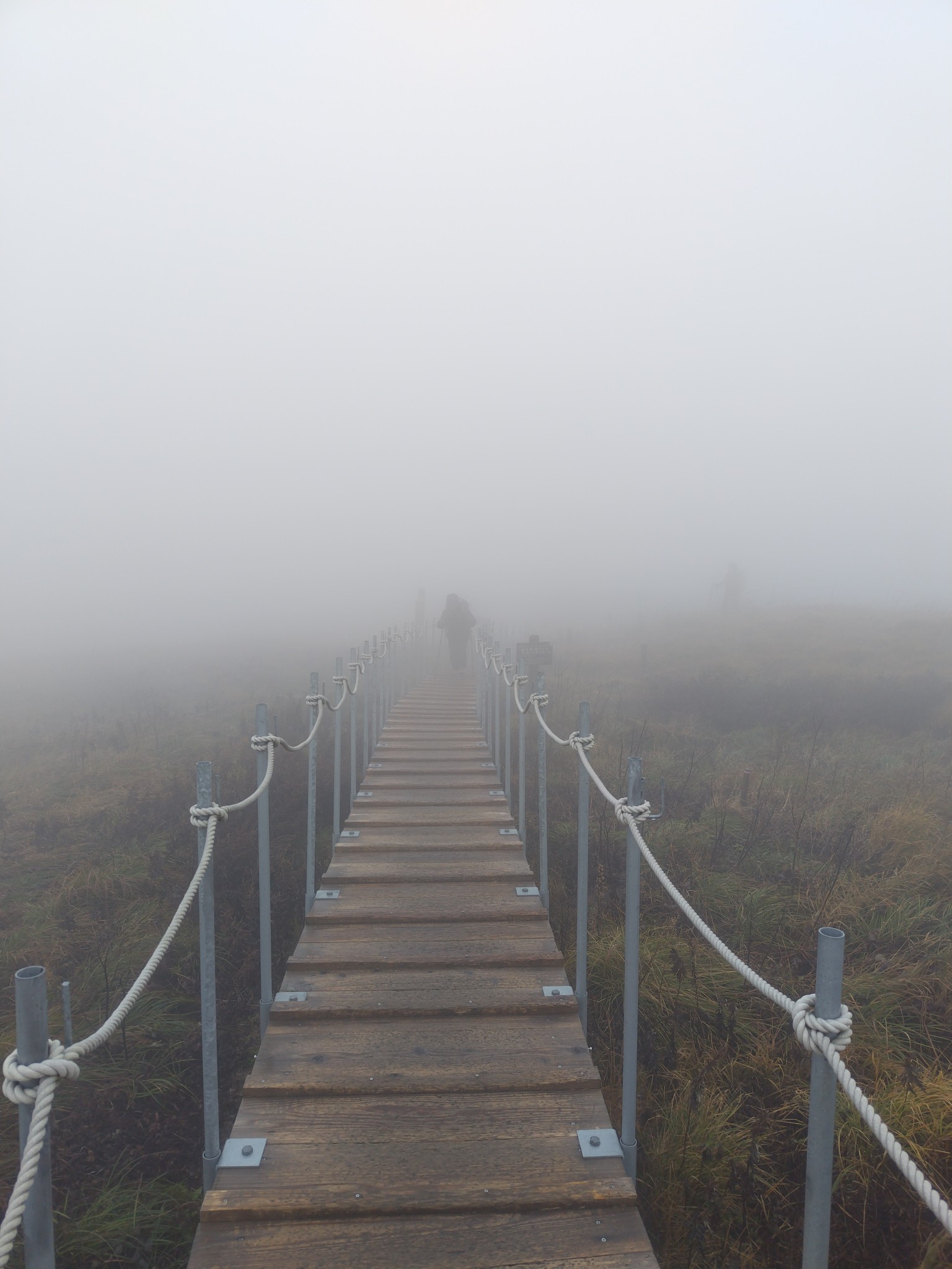 雨の大山登山 TAKAOZAIMOKUのブログ 写真1