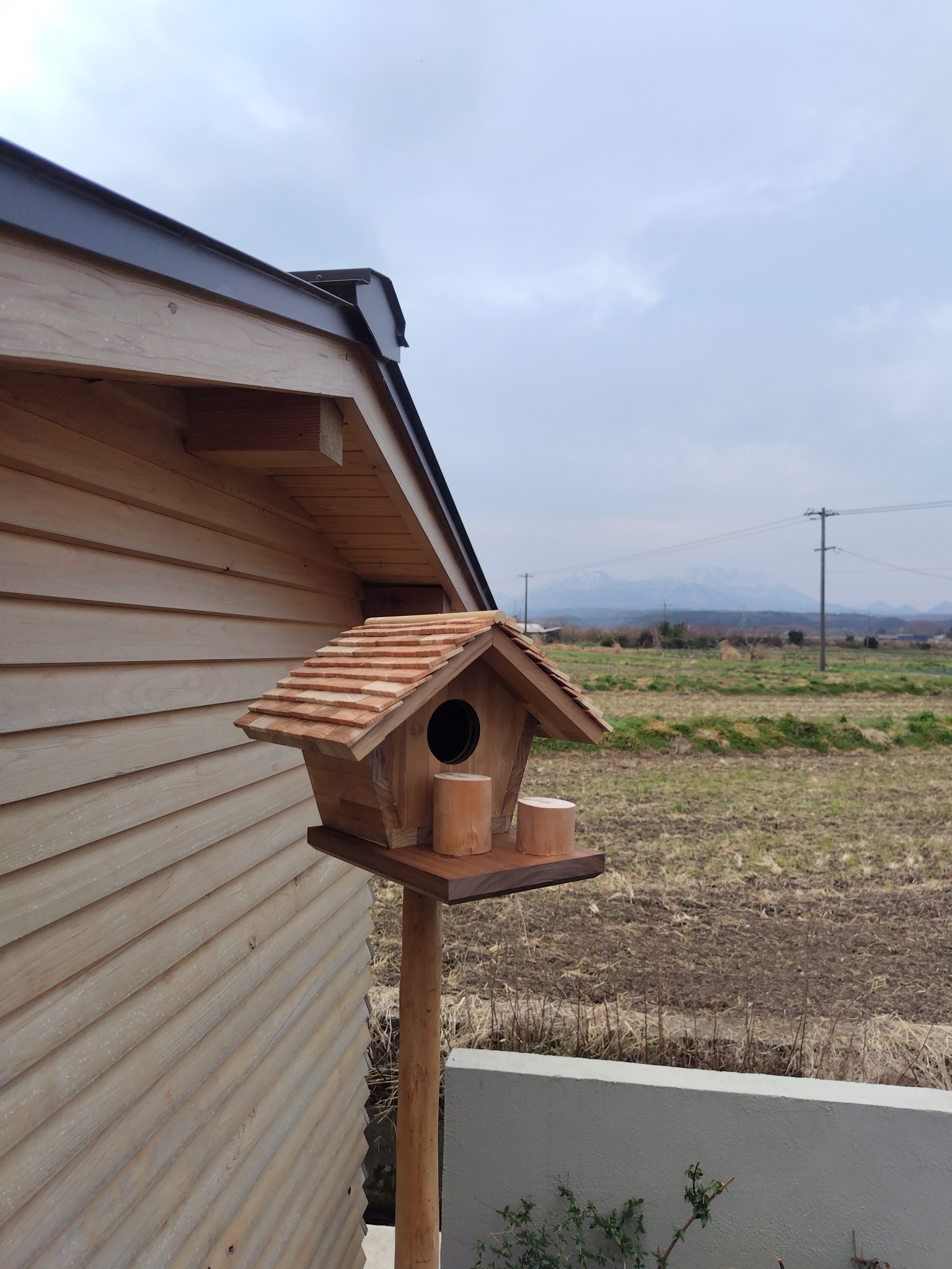 鳥の巣箱つくり TAKAOZAIMOKUのブログ 写真2
